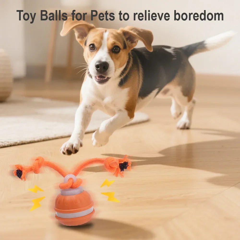 RolliPlay™ Smart Pet Ball 🐾⚡ Endless Chase Fun BORUIT Official Store