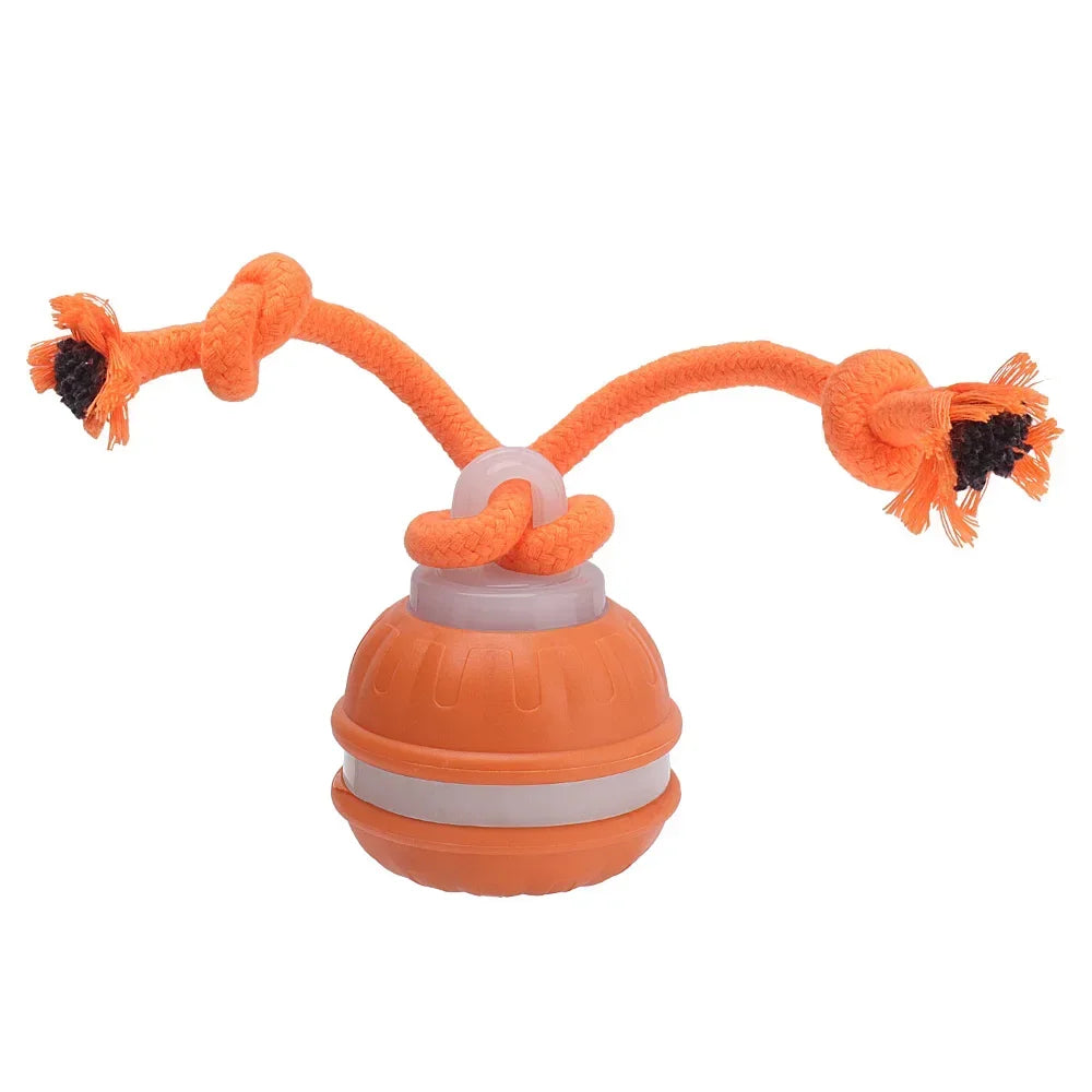 RolliPlay™ Smart Pet Ball 🐾⚡ Endless Chase Fun BORUIT Official Store