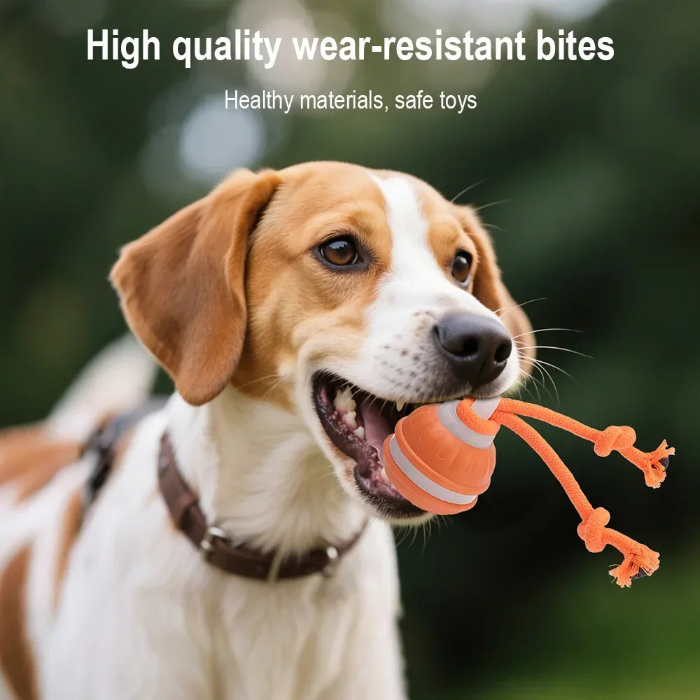 RolliPlay™ Smart Pet Ball 🐾⚡ Endless Chase Fun BORUIT Official Store